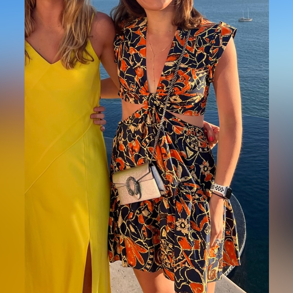 ALC dress